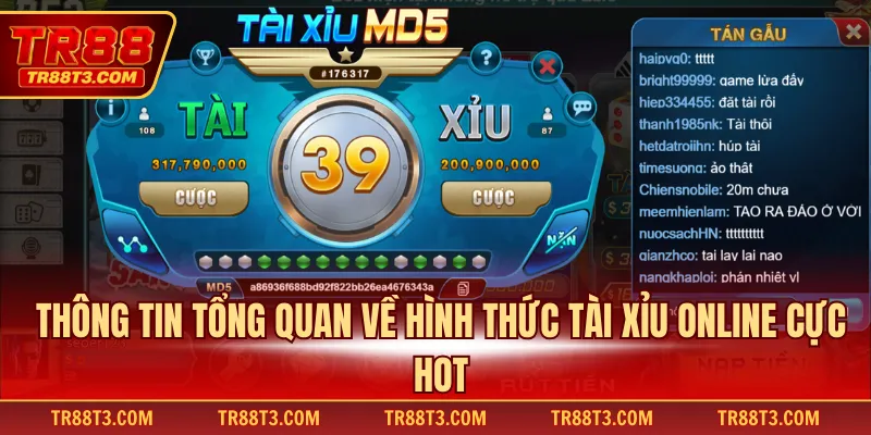 Thông tin tổng quan về hình thức tài xỉu online cực hot